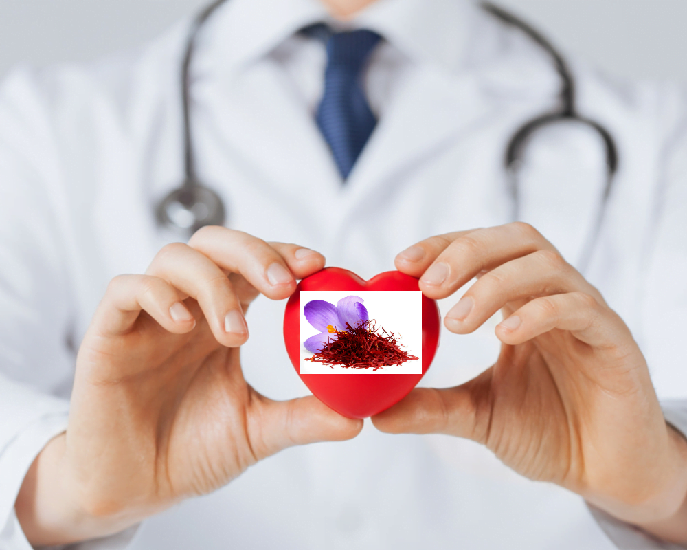 همه نکاتی که درباره خواص زعفران بر قلب لازم است بدانید