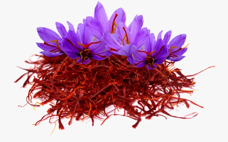 راهنمای جامع خرید زعفران سرگل ممتاز برای مصرفکنندگان هوشمند