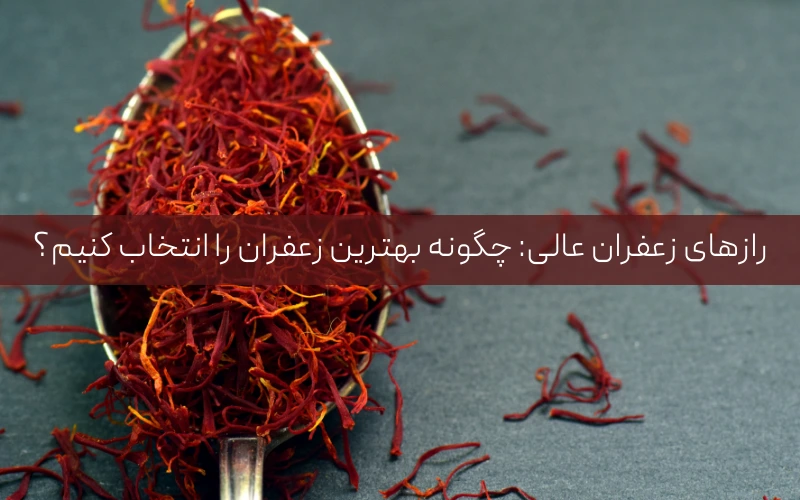رازهای زعفران عالی چگونه بهترین زعفران را انتخاب کنیم؟